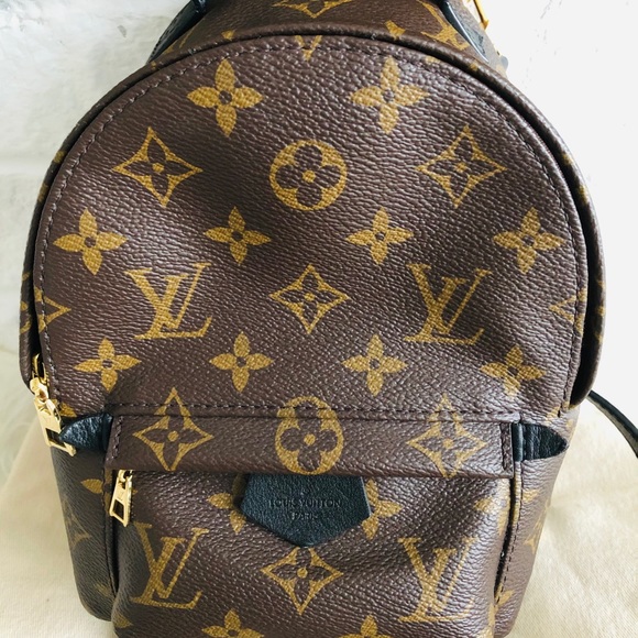 ‼️sold‼️Louis Vuitton Palm Springs Mini Monogram - Picture 4 of 12